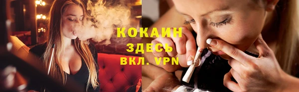 шишки Карпинск