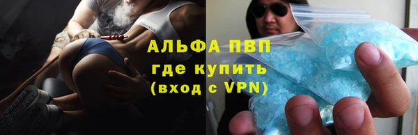шишки Карпинск