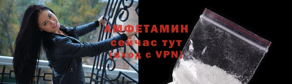 шишки Карпинск