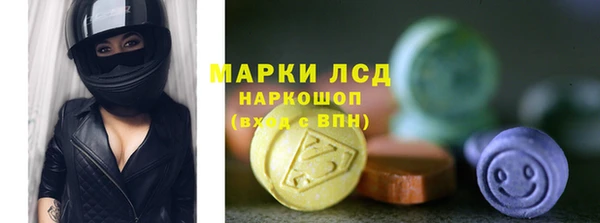 шишки Карпинск