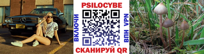 Галлюциногенные грибы ЛСД  Купить закладки  Медвежьегорск 